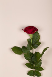 Similar image 21074242