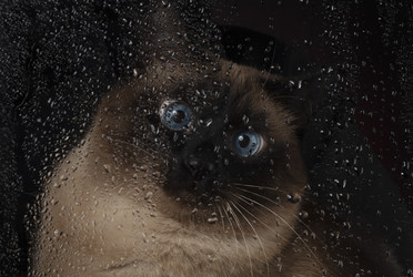 Similar image 21074921