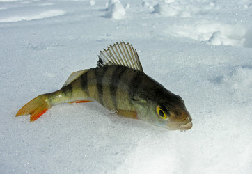 Similar image 21049434