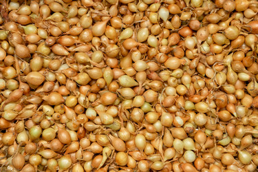 Similar image 21074417