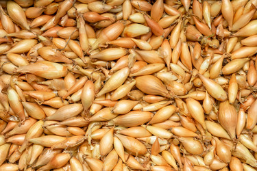 Similar image 21074418