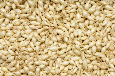 Similar image 21074420