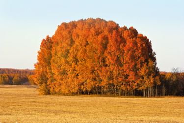 Similar image 21049536