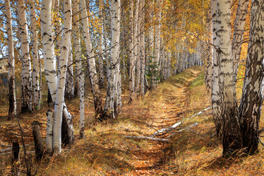 Similar image 21053635