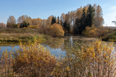 Similar image 21053637