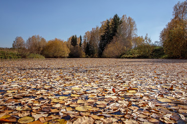 Similar image 21053638