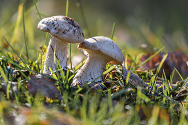 Similar image 21049540