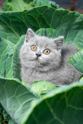 Similar image 21050515