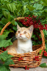 Similar image 21050516