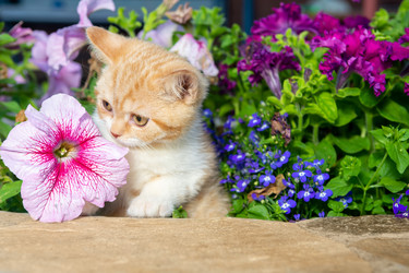 Similar image 21050518