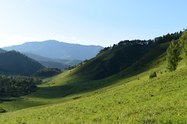 Similar image 21050922