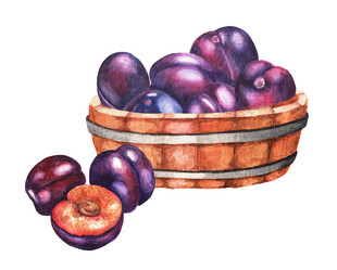 Similar image 21056846