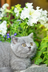 Similar image 21050520