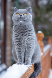 Similar image 21050521