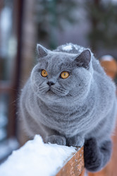 Similar image 21050522