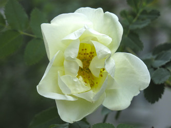 Similar image 21050523