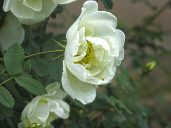 Similar image 21050524