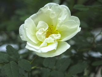 Similar image 21050525