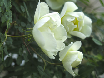 Similar image 21050527