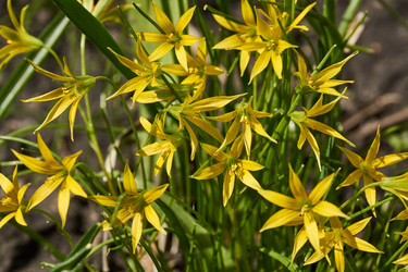 Similar image 21050591