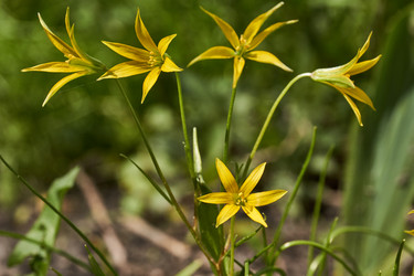 Similar image 21050592