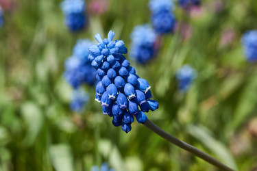 Similar image 21050594