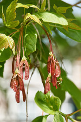 Similar image 21063121