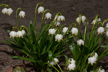 Similar image 21063122