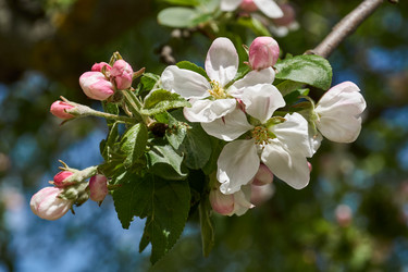 Similar image 21062548