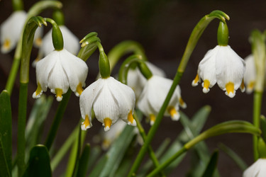 Similar image 21062549