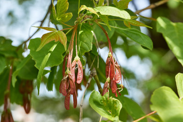 Similar image 21050595