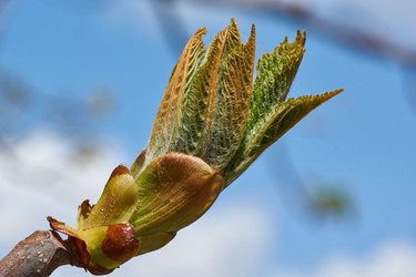 Similar image 21050596