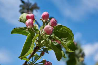 Similar image 21050597