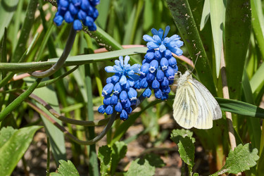 Similar image 21050598