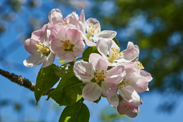 Similar image 21058190