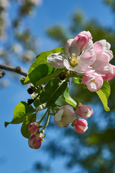 Similar image 21050599