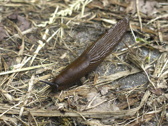 Similar image 21050530