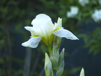 Similar image 21050531