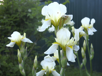 Similar image 21050532