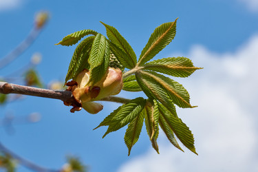 Similar image 21050600