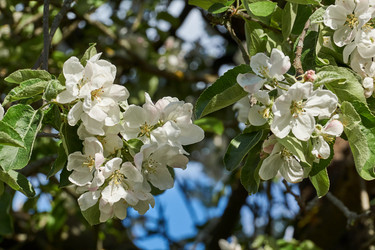 Similar image 21050601