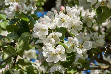 Similar image 21050602