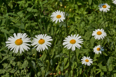 Similar image 21063123