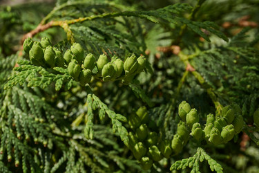 Similar image 21050612