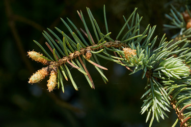 Similar image 21050614