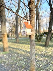 Similar image 21050544