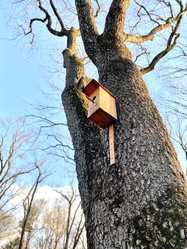 Similar image 21050545