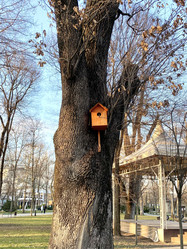 Similar image 21050546