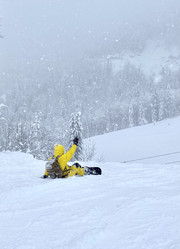 Similar image 21050623