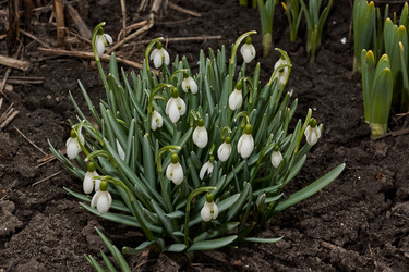 Similar image 21050626